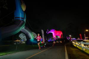 BIB: 
                            <button type="button" onclick="openModal(26553948)" class="btn btn-primary btn-sm float-right btn-popup" data-toggle="modal" data-target=".modal-high-quality">
                        <i class="fas fa-shopping-cart"></i> Add to Cart
                    </button>
                                            <button type="button" onclick="isThisMe(26553948, true)" class="btn btn-success btn-sm float-right btn-popup btn-isme hidden" data-toggle="tooltip" data-placement="bottom" title="นี่คือรูปของคุณใช่ไหม คลิกที่นี่เพื่อเอาเข้าอัลบั้ม">
                        <i class="fas fa-plus"></i> Add to album
                    </button>
                    <button type="button" onclick="isThisMe(26553948, false)" class="btn btn-warning btn-sm float-right btn-popup btn-isnotme hidden">
                        <i class="fas fa-ban"></i> Remove from album
                    </button>